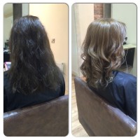 Cut, coloured and styled to perfection
